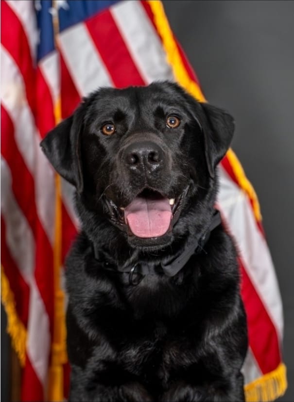 K9 Code is on the case: LCSO’s newest pup has a nose for electronics