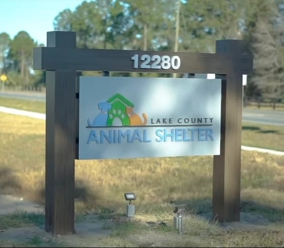 Man accused of abandoning starving dog at Lake County Animal Shelter
