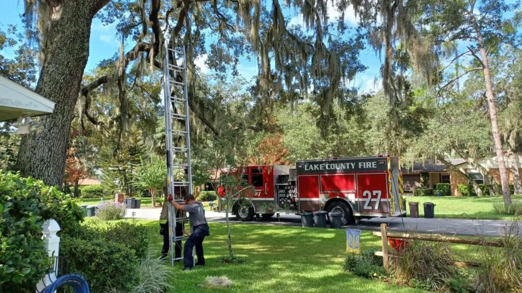 Leo’s 2-day tree adventure ends as Lake County firefighters arrive to help